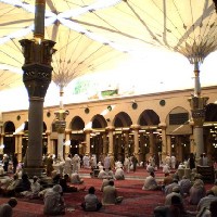 Итикаф в мечети Пророка совершают 13655 мусульман