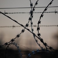 Таджикистанец сел в тюрьму за «рекламу» ИГИЛ среди студентов