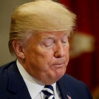Трамп объявит о «важном решении» по Сирии в течение 48 часов